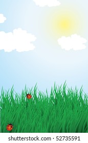 Summer landscape