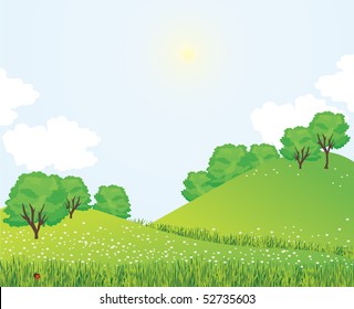 Summer landscape