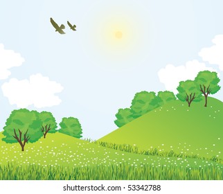 Summer landscape
