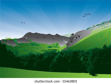 summer landscape