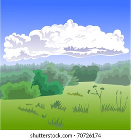 Summer landscape