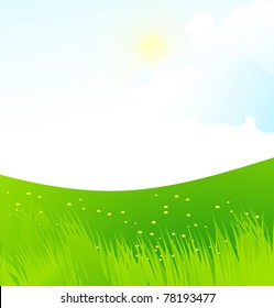 Summer landscape
