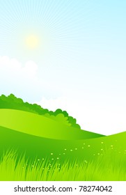 Summer landscape