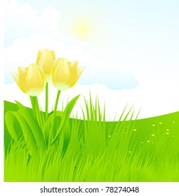 Summer landscape