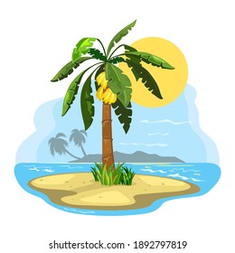 Summer landscape, banana fruit raised on palm tree. Vector sand and shining sun over seascape, oasis, wild nature, dreamy island design isolated on white background