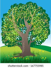 summer landscape with a big green tree in the foreground