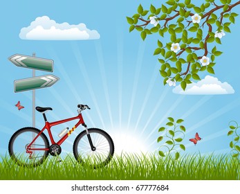 Summer landscape with a bike. Vector illustration.