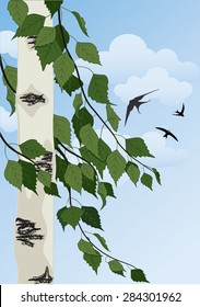 summer landscape with birch trees, blue sky and swallows