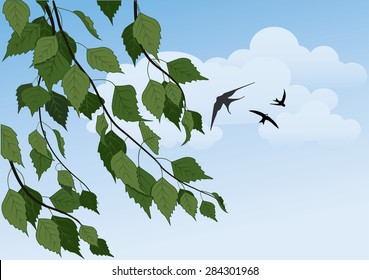 summer landscape with birch trees, blue sky and swallows