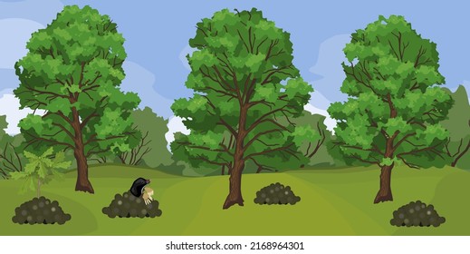 Summer landscape with black mole on molehill and tall oak trees with green crowns
