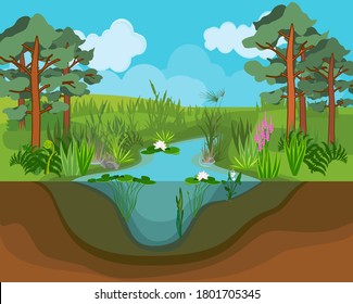 Summer landscape with blue pond and tall pines