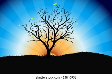Summer Landscape with blue sky tree and rays