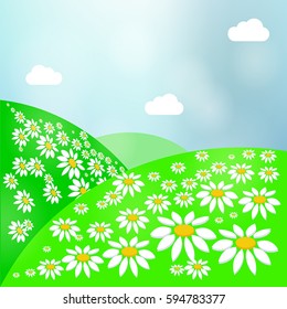 Summer landscape bright meadow with daisies, green grass and sky.