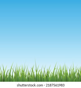 Summer landscape card or banner backdrop mockup, realistic vector illustration. Summer and springtime day background with blue sky and border of green lawn grass.