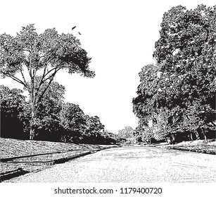 Summer landscape with empty road, big trees and birds. Black and white vector graphic illustration, outdoors scene in vintage style.
