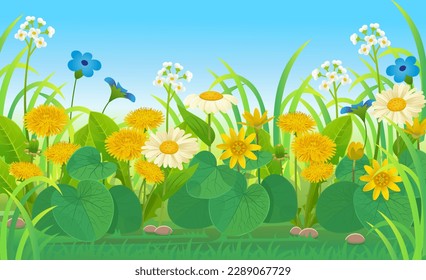  Summer Landscape of field with dandelions, buttercups, wild strawberries and wildflowers blue sky background. Vector illustration in cartoon style
