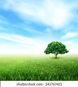 Summer Landscape With Field, Sky, Tree, Grass, Flowers