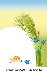 Summer landscape with the field of wheat