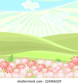 Summer landscape and flowers