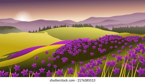 Summer landscape with flowers and mountains