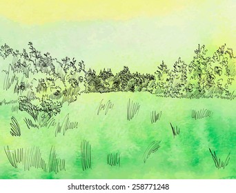 summer landscape with forest . Hand drawn vector illustration.