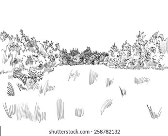 Forest Sketch Images Stock Photos Vectors Shutterstock