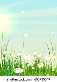 Summer landscape. Glade with daisies. Beautiful vector background.