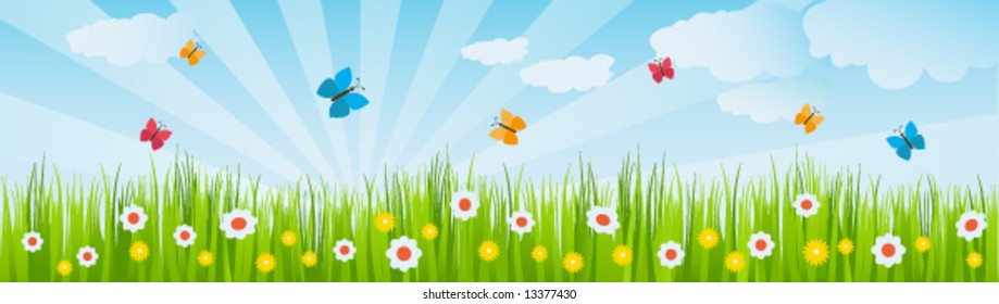 Summer landscape (header for web page)