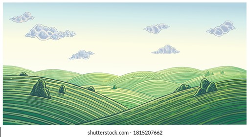 Summer landscape with hills and clouds, vector illustration.