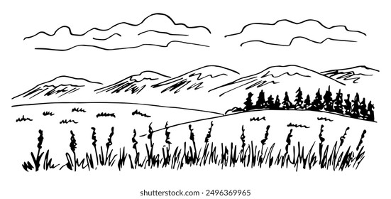 Summer landscape, nature. Mountains on the horizon, clouds in the sky, trees and hills, flowering meadow, grass, plants. Simple hand drawn vector illustration with black outline. Sketch in ink.