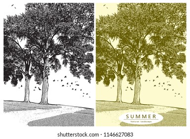 Summer landscape with oak tree and birds flying in the sky. Vector graphic illustration of summer nature in black and white and beige color, vintage style.