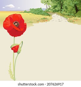 Summer landscape with red poppies  Hand drawn vector illustration of sunny summer landscape with red poppy in the foreground. 
