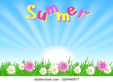 Summer landscape with sun rays in the sky, meadow flowers and green grass