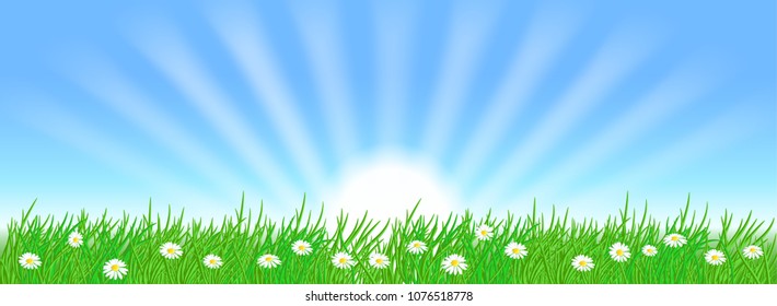 Summer landscape with sun rays in the sky, meadow flowers and green grass