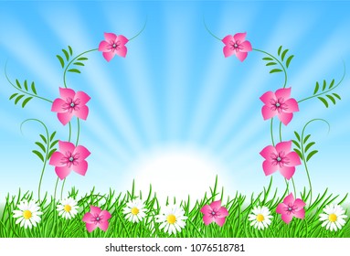 Summer landscape with sun rays in the sky, meadow flowers and green grass