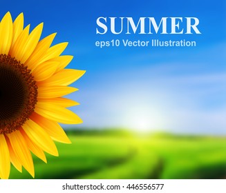 Summer landscape with sunflower, vector illustration.