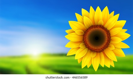 Summer landscape with sunflower, vector illustration.