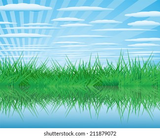 Summer landscape with a thick green grass and clouds