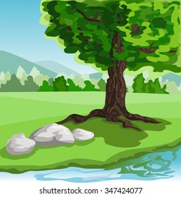Summer landscape with tree and stones