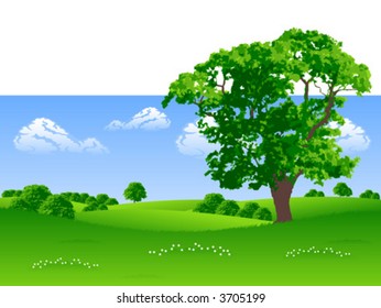 Summer landscape with trees and flowers vector illustration