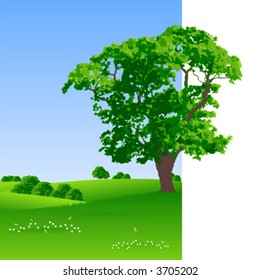 Summer landscape with trees and flowers vector illustration