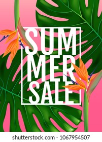 summer, layout design, greeting card, cover book, banner,  template design, graphic illustration, vector illustration.