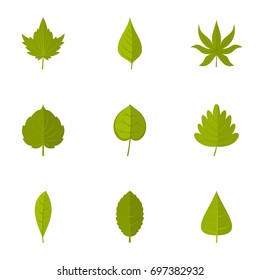 Summer leaf icons set. Flat set of 9 summer leaf vector icons for web isolated on white background