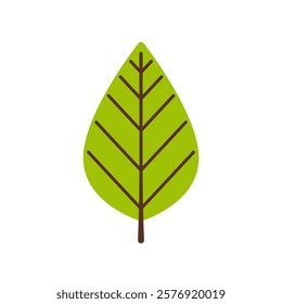 Summer leaf illustration in simple style. Flat leaf illustration for decoration.