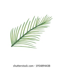 summer leaf on white background