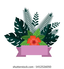 summer leafs plants and flowers decoration