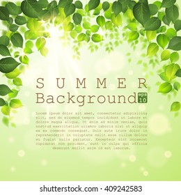Summer leaves background