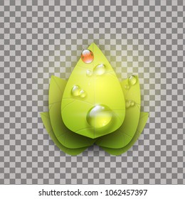 summer leaves and drops icon