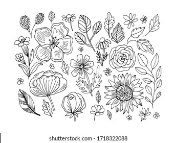 Summer leaves and flowers set line art. Hand drawing floral doodles vector illustration. Minimalism art. Botanical modern decor.