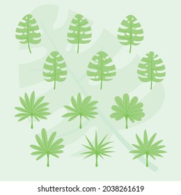 Summer leaves with many shapes
